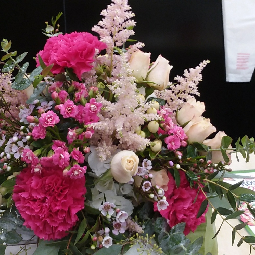 Meet your Posher, Rowan